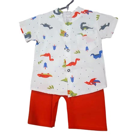 Blusa e Short
